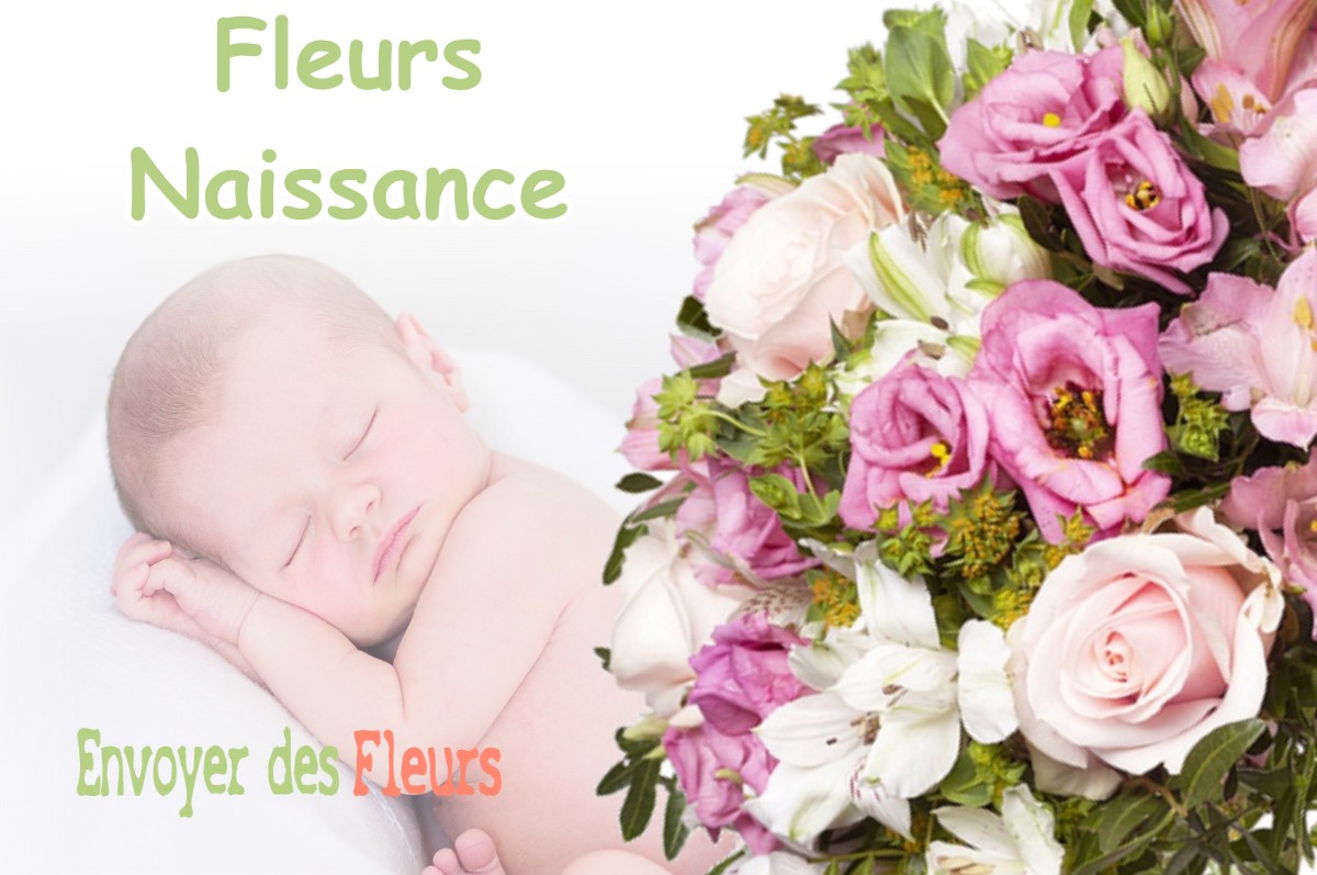 lIVRAISON FLEURS NAISSANCE à MAUVEZIN-D-ARMAGNAC